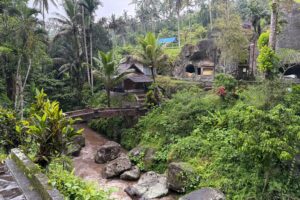 Tesen Sapi: Rahasia Tradisional untuk Kecantikan Alami yang