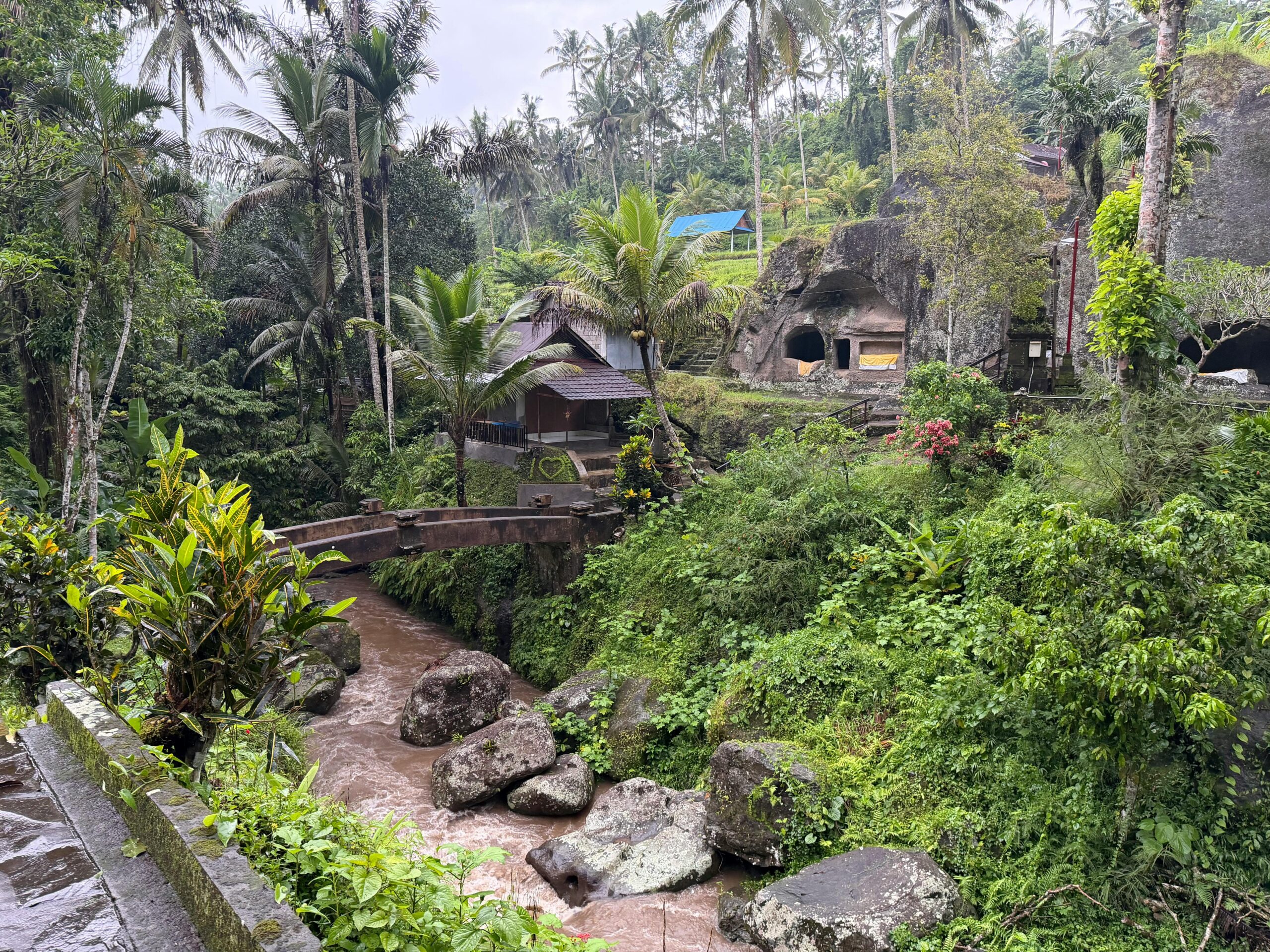 Tesen Sapi: Rahasia Tradisional untuk Kecantikan Alami yang